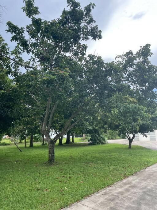 La Finca... Beautiful Countryside Home ! North North Naples Exterior foto